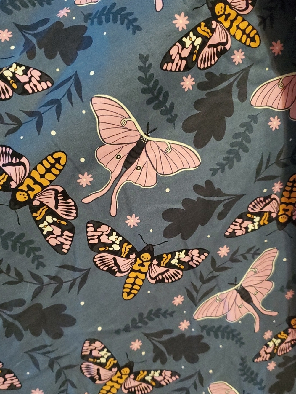 Moth Sun Dress - Picture 4 of 8
